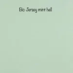 Bio Jersey Uni mint hell